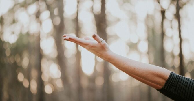 Myofunctional Therapy