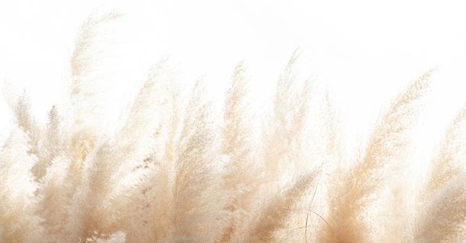 Myofunctional Therapy